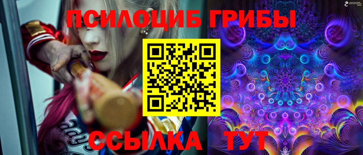Назарово  Галлюциногенные грибы Magic Shrooms  Псилоцибиновые грибы Psilocybine cubensis  Вход с VPN 